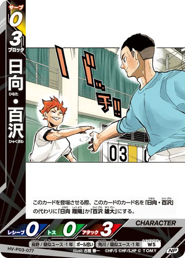 HV-P03-077 日向・百沢 NP