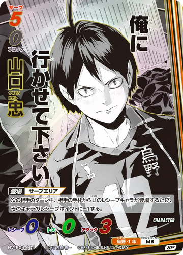 HV-P04-004 山口 忠 SP