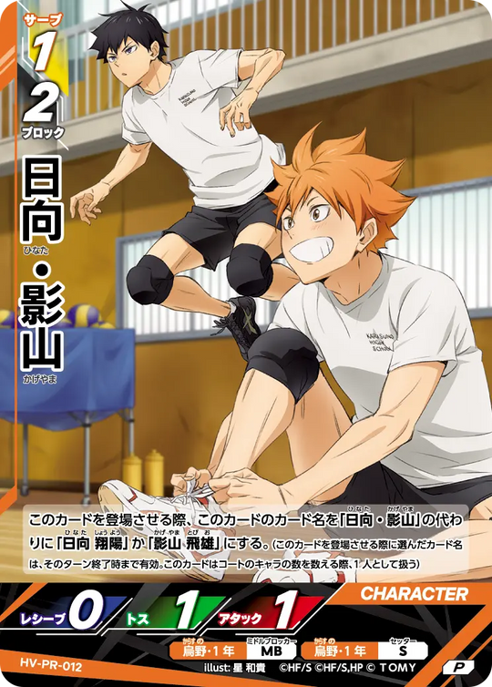 HV-PR-012 日向・影山 P