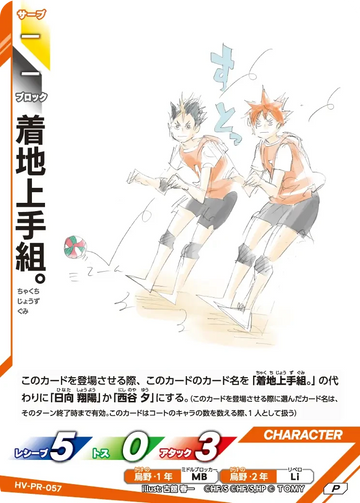 HV-PR-057 着地上手組。 P