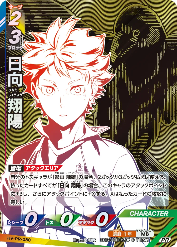 HV-PR-080 日向 翔陽 PR