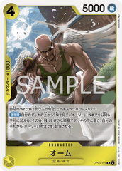 OP05-101 オーム R
