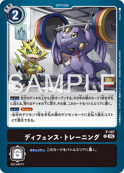P-107 ディフェンス・トレーニング （AD版） P