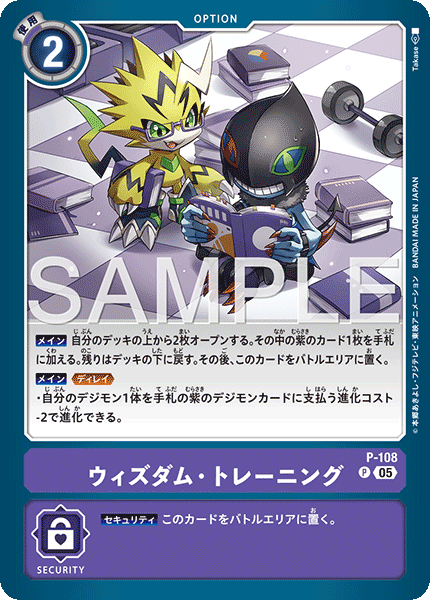 P-108 ウィズダム・トレーニング  （AD版）P