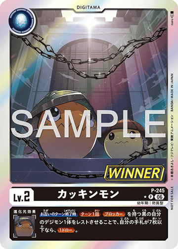 P-245 カッキンモン P