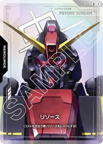 R-010 リソース C+