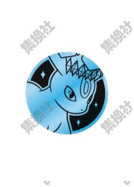 中国限定 コイン 【ブラッキー】