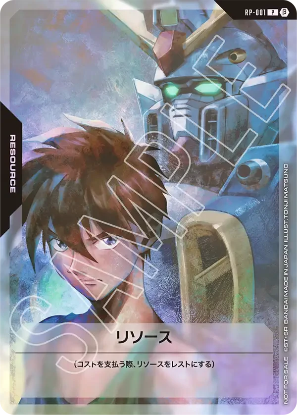RP-001 リソース P