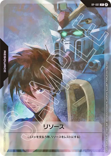 RP-001 リソース P