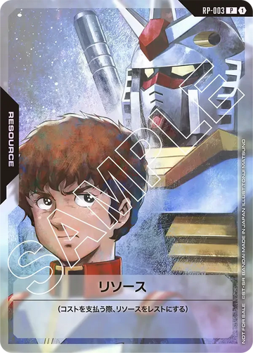 RP-003 リソース P