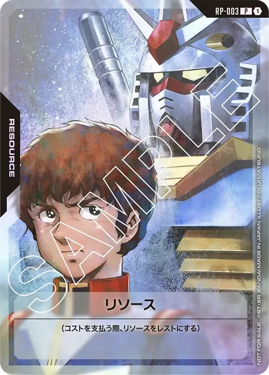 RP-003 リソース P