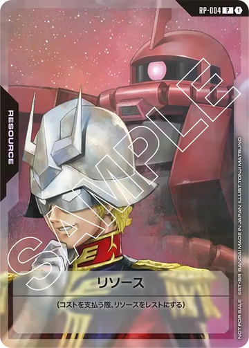 RP-004 リソース P