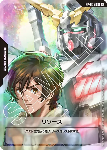 RP-005 リソース P
