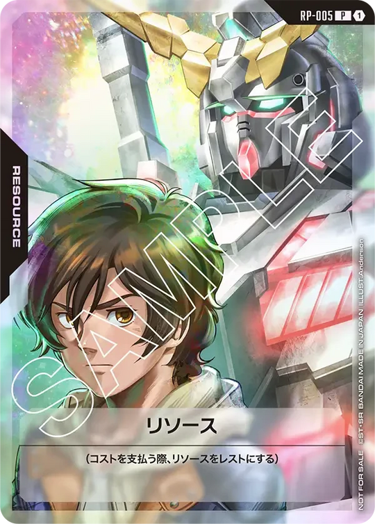 RP-005 リソース P