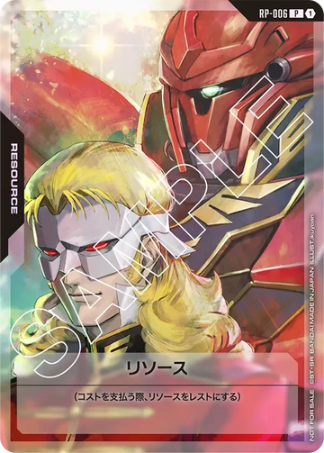 RP-006 リソース P