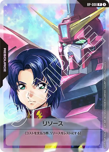 RP-008 リソース P