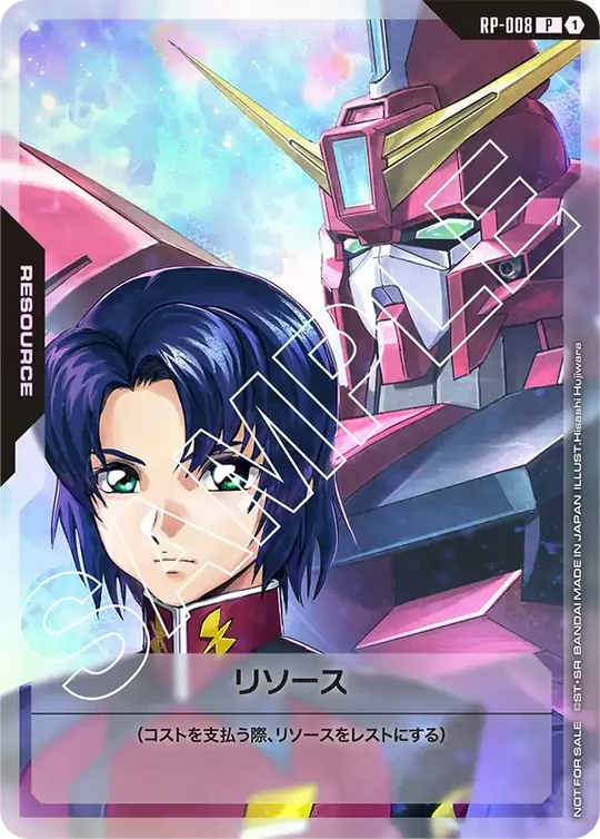 RP-008 リソース P