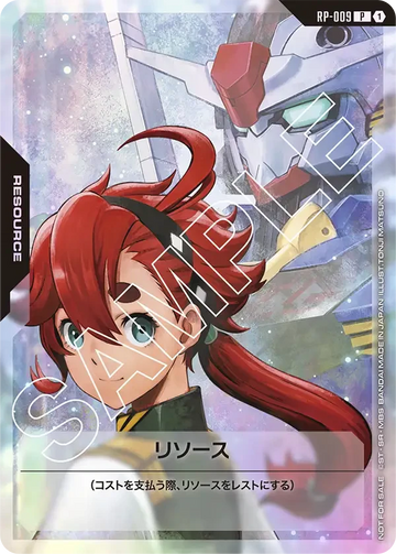 RP-009 リソース P