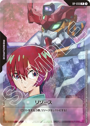 RP-010 リソース P