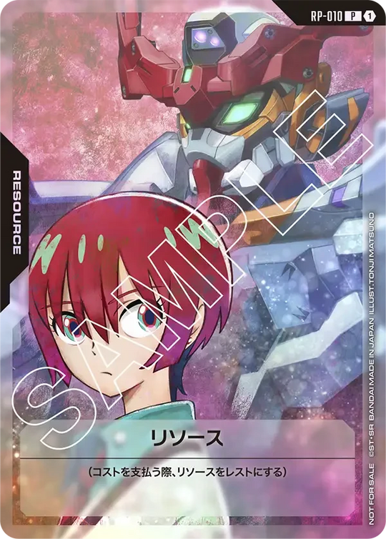 RP-010 リソース P