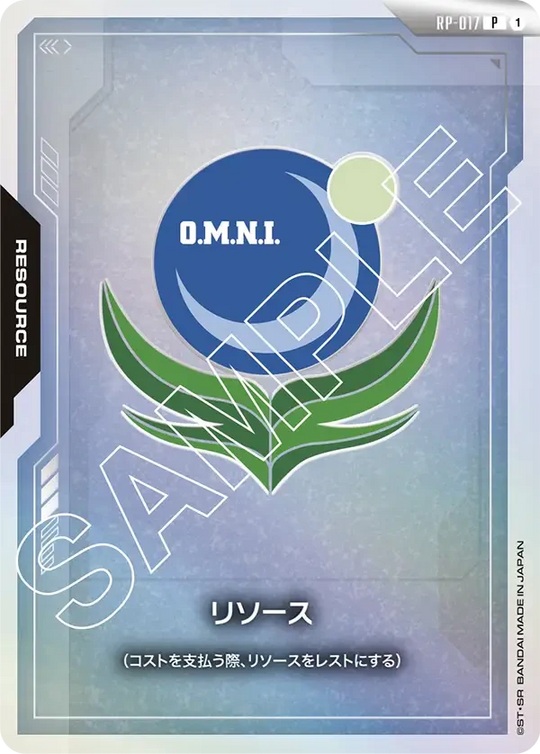 RP-017 リソース P