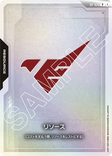 RP-020 リソース P