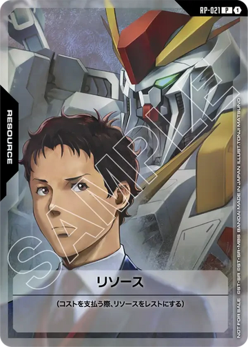 RP-021 リソース P