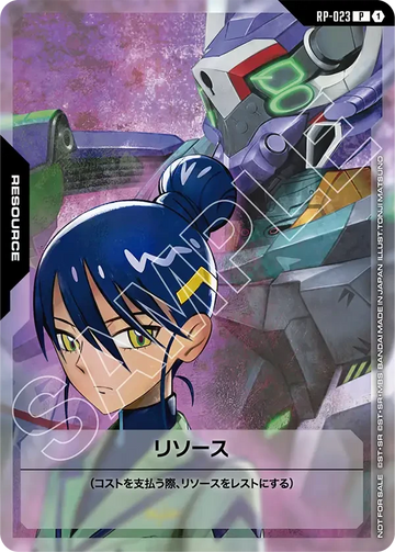RP-023 リソース P