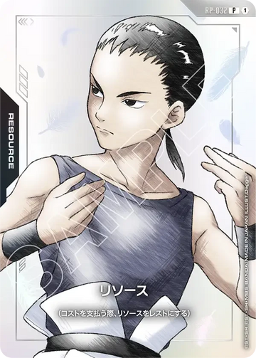 RP-032 リソース P