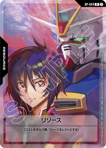 RP-044 リソース P