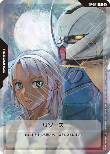 RP-061 リソース P
