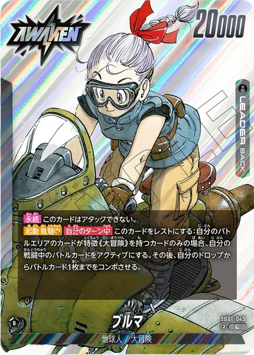 SB01-045 ブルマ L