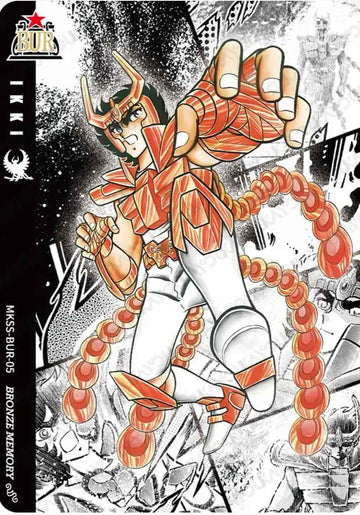 MKSS-BUR-05 BUR