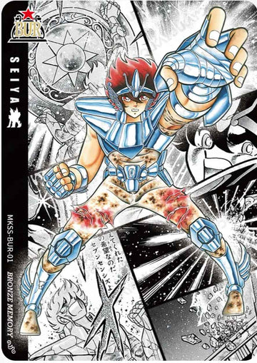 MKSS-BUR-01 BUR