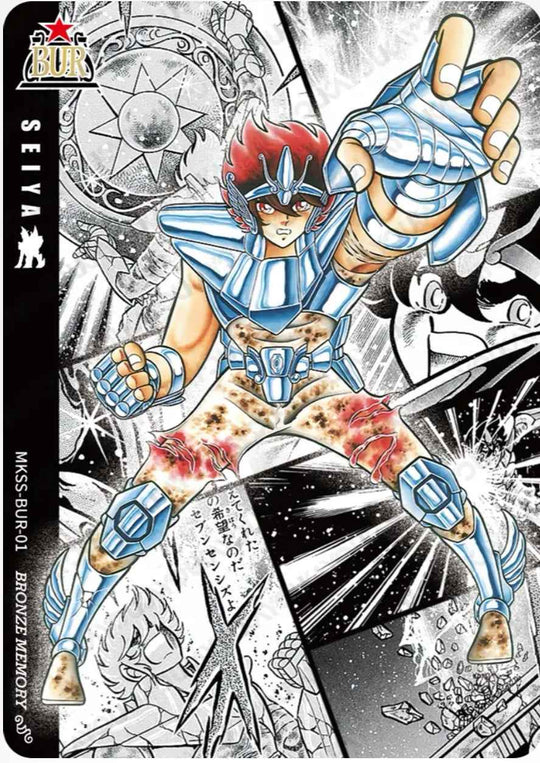 MKSS-BUR-01 BUR
