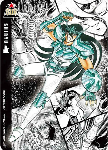 MKSS-BUR-02 BUR