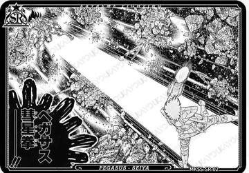MKSS-SR-02 SR