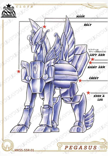 MKSS-SSR-01 SSR