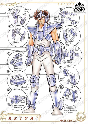MKSS-SSR-02 SSR