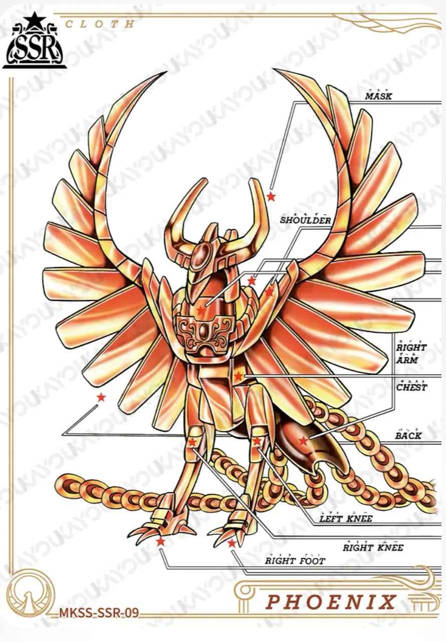 MKSS-SSR-09 SSR