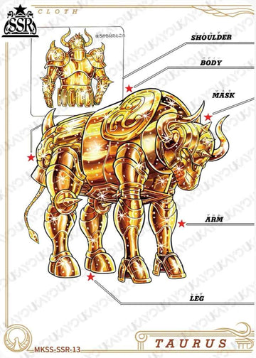 MKSS-SSR-13 SSR