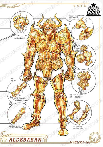 MKSS-SSR-14 SSR