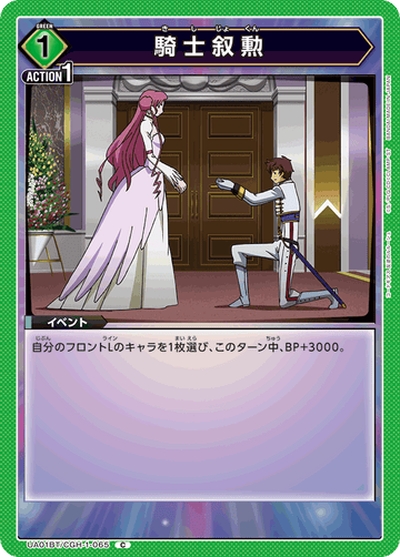 UA01BT/CGH-1-065 騎士叙勲 C