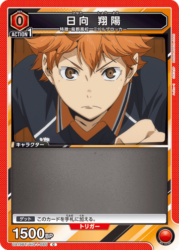 UA19BT/HIQ-1-085 日向 翔陽 C