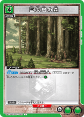 UA23BT/AOT-1-062 巨大樹の森 U