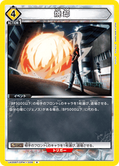 UA35BT/OPM-1-029 焼却 R