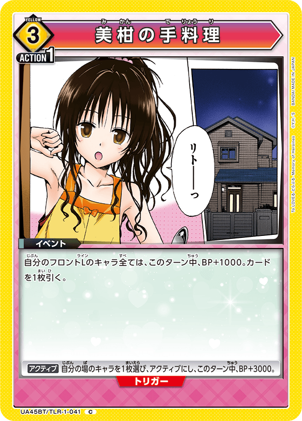 UA45BT/TLR-1-041 美柑の手料理 C