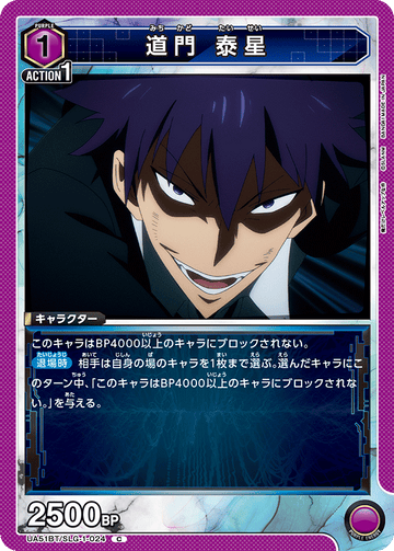 UA51BT/SLG-1-024 DOMON Taisei C