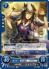 B14-028 一族の希望 シャンブレー N