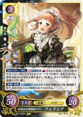B14-064 今日もお仕事開始です！ フェリシア HN